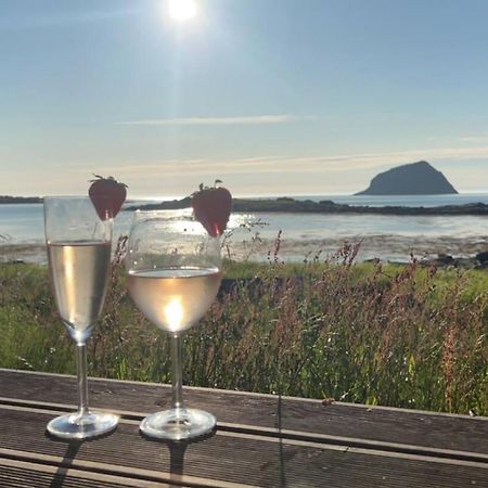 Magic Views And Walking Distance To Best Beaches Leknes Exteriör bild